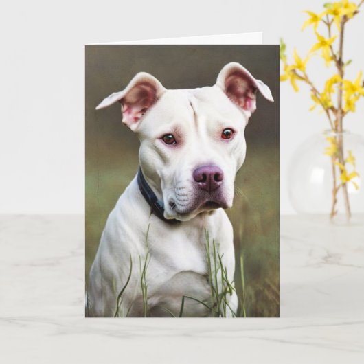 White Pitbull Birthday Kaart (Gele Bloem)