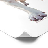 White Pitbull Puppy Poster (Hoek)
