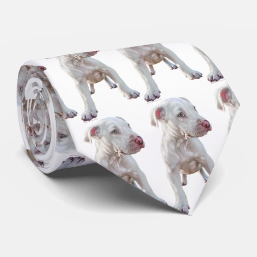 White Pitbull Puppy Stropdas (Opgerold)