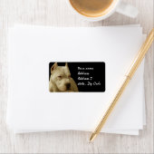 White Pitbull Terrier Etiket (Insitu)