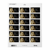 White Pitbull Terrier Etiket (Full Sheet)