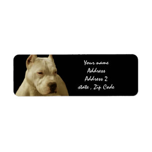 White Pitbull Terrier Etiket