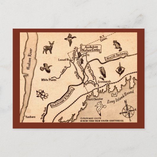 White Plains NY Carte Postale Ancienne (Devant)