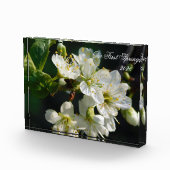 White Plum Blossom Macro | Personalized Photo Bloc (Droite)
