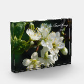 White Plum Blossom Macro | Personalized Photo Bloc (Gauche)