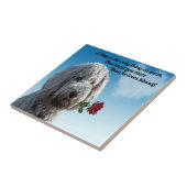 White poddle dog puppy with a red rose Dog Quote Tegeltje (Zijkant)