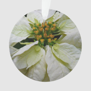 White Poinsettia Elegant Kerstfeestdag Floral Ornament