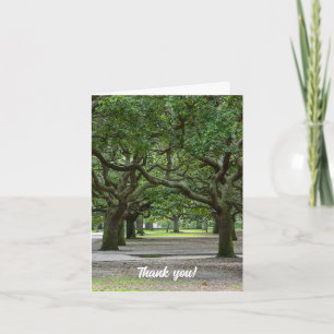 White Point Gardens Carte de remerciements