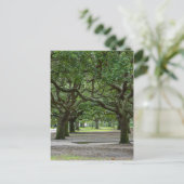 White Point Gardens Painterly Briefkaart (Staand voorkant)