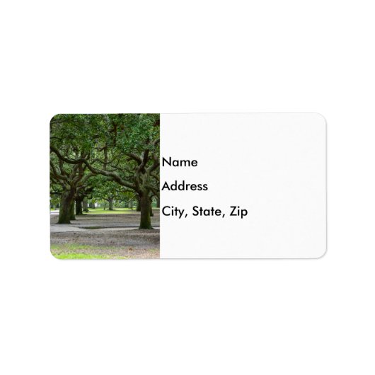 White Point Gardens Painterly Etiket (Voorkant)