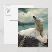 White Polar Beer Hunter op rock Briefkaart (Voorkant / Achterkant)