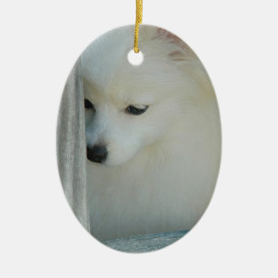 White Pomeranian Keramisch Ornament