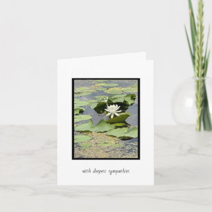 White Pond Lily Sympathcard Kaart