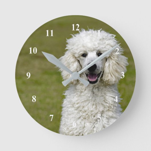 White Poodle Clock Ronde Klok (Voorkant)