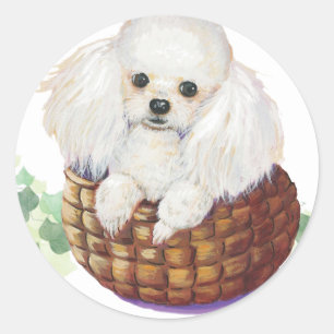 White Poodle in Basket Art Print Stickers Labels