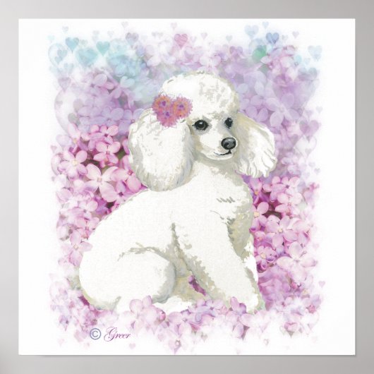 White Poodle in Lilacs Poster Print (Voorkant)