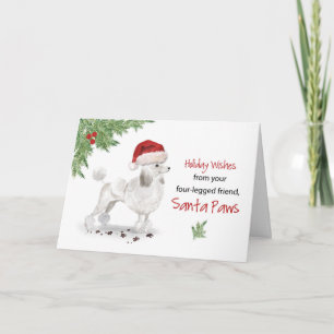 White Poodle Kerstmis van Dog in Funny Santa Hat Kaart