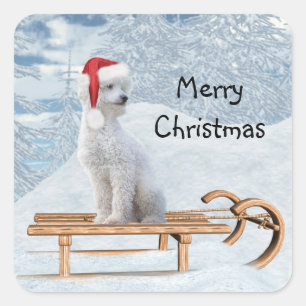 White Poodle Kerstmis Vierkante Sticker