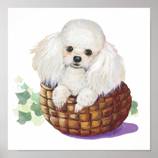 White Poodle Puppy in een mandje Art Print (Voorkant)