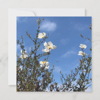 White Poppies Against the Sky Greeting Card Kaart