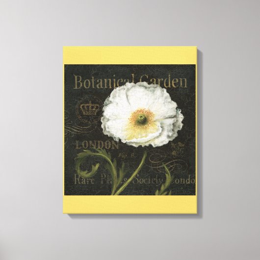 White Poppy Blossom Canvas Afdruk (Voorkant)