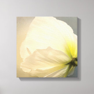 White Poppy Canvas Afdruk