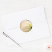 White Poppy Ronde Sticker (Envelop)