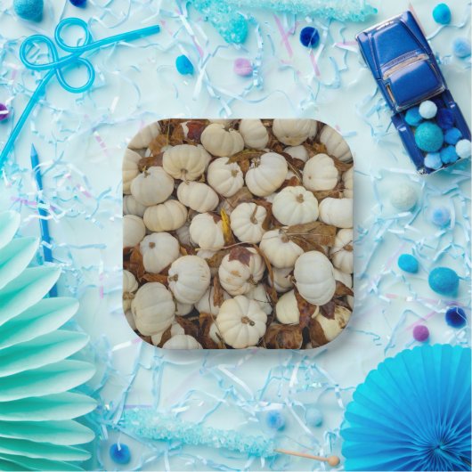 White Pumkin Paper Plate Papieren Bordje (Feest)