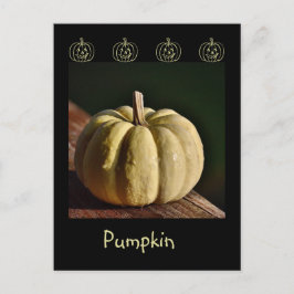 White Pumpkin Mini Gourd Herfst Briefkaart