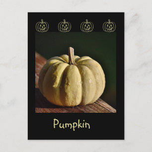 White Pumpkin Mini Gourd Herfst Briefkaart