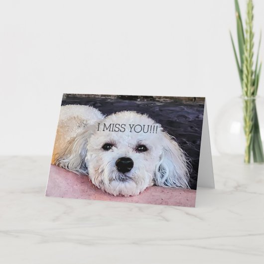 WHITE PUP MISSING YOU CARD BEDANKKAART (Voorkant)