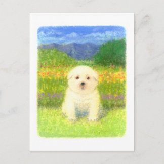 White Puppy Briefkaart