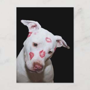 White Puppy Dog Love, verzegeld met Lipstick Kisse Briefkaart