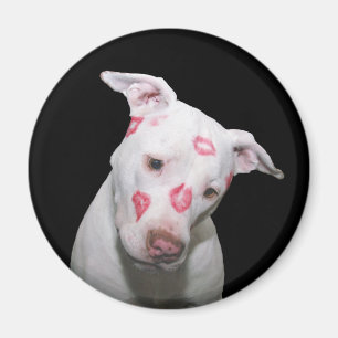 White Puppy Dog Love, verzegeld met Lipstick Kisse Magneet