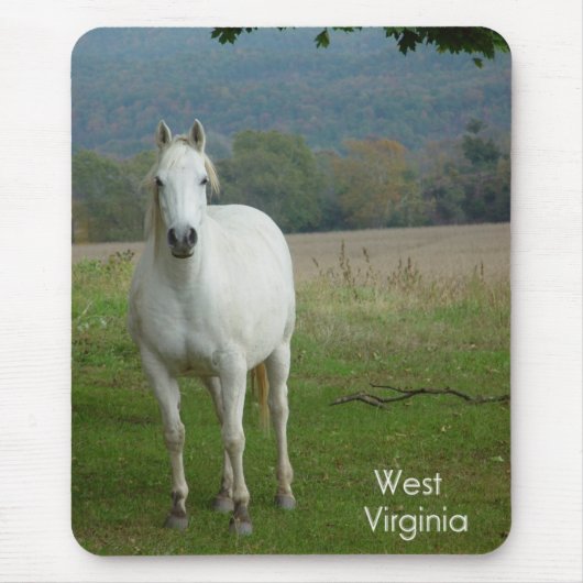 White Quarter Horse Mousepad Muismat (Voorkant)