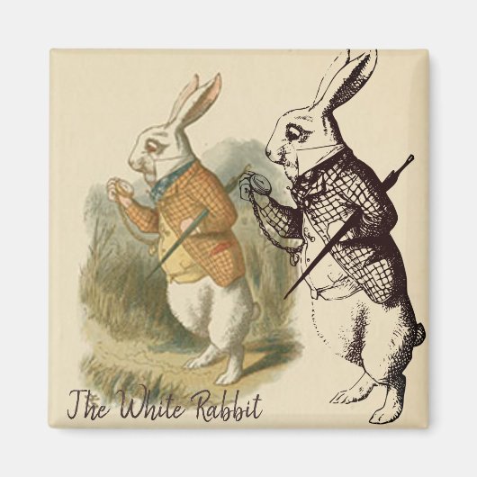  White Rabbit Illustration Magneet (Voorkant)