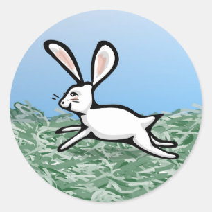 White Rabbit Run Stickers