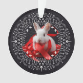 White rabbit with red ribbon on Black Holiday (devant)