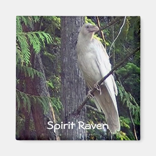White Raven Magnets Magneet (Voorkant)