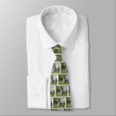 White Rhino Mannen Necktie Stropdas (Gebonden)