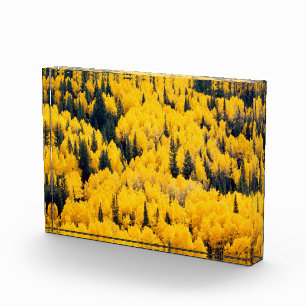 White River National Forest Aspen, Colorado Fotoblokken