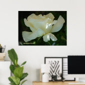 White Rose Ballerina Poster (Thuiskantoor)