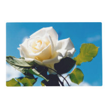 White Rose Beauty