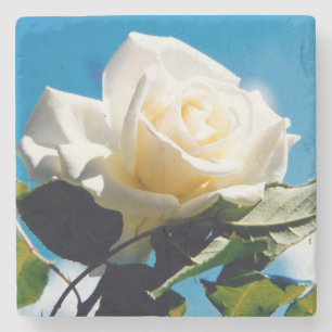 White Rose Beauty Stenen Onderzetter