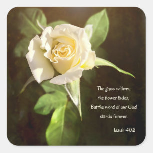 White Rose Bible Quote Vierkante Sticker