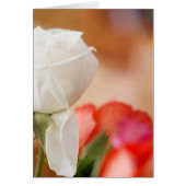 White Rose Bokeh Emerson Quote (Voorkant)