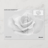 White Rose Briefkaart (Achterkant)
