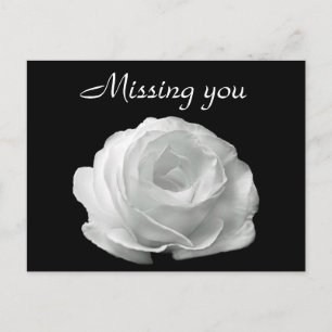 White Rose Briefkaart