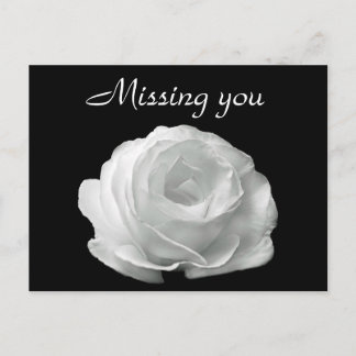White Rose Briefkaart