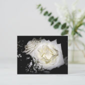 White Rose Briefkaart (Staand voorkant)